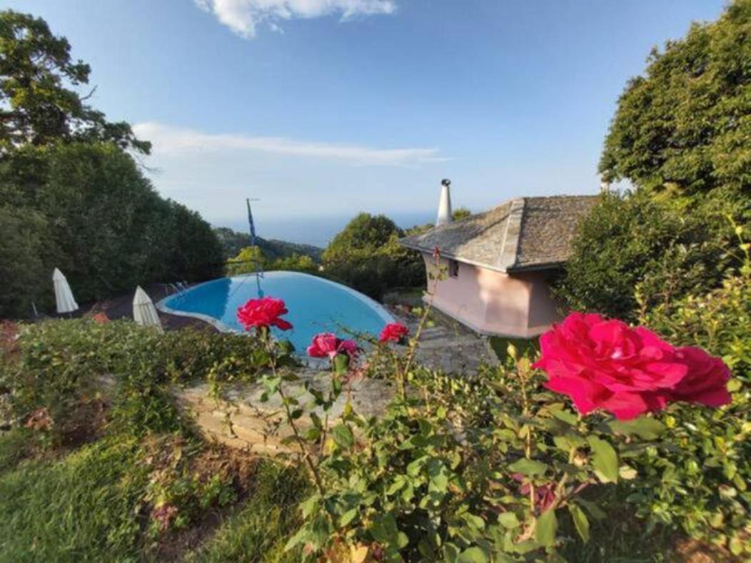 Tsagkarada Country Estate With Pool Villa Екстериор снимка