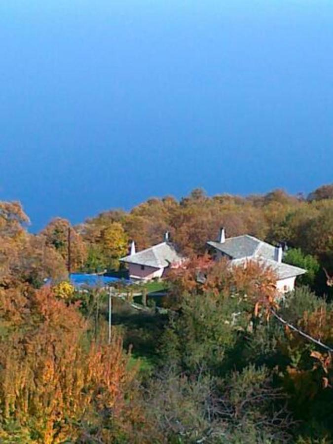 Tsagkarada Country Estate With Pool Villa Екстериор снимка