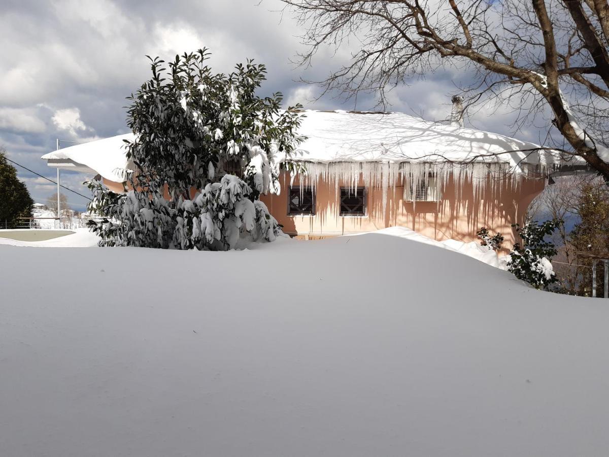 Tsagkarada Country Estate With Pool Villa Екстериор снимка